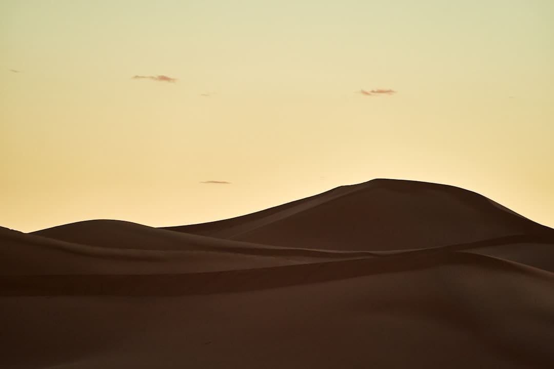 https://img1.utuku.imgcdc.com/650x0/news/20250905/c2df5b6d-74b9-4d61-b12b-7d09b44fe1e7.jpg